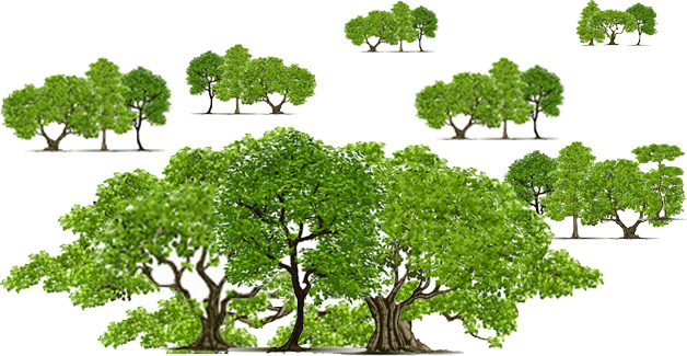 environmental trees